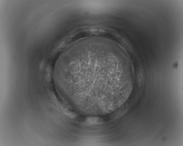X0000113860757200910221441