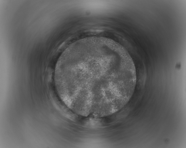 X0000113860758200910221441
