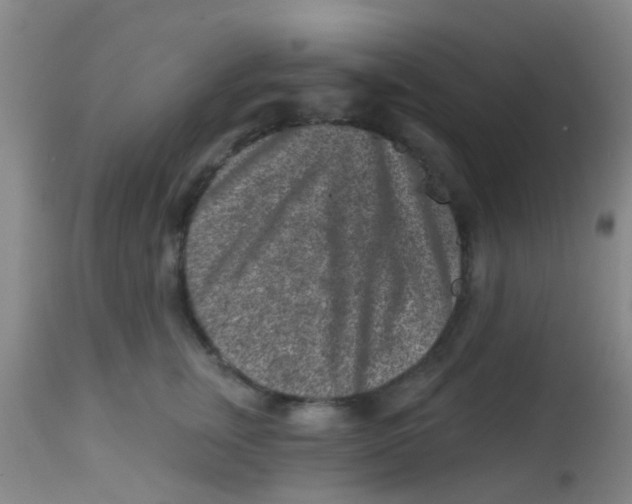 X0000113860759200910221441