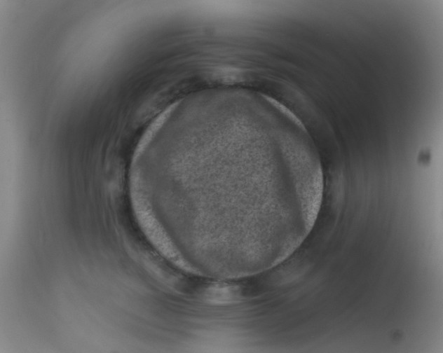 X0000113860760200910221441
