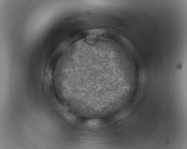 X0000113860761200910221441