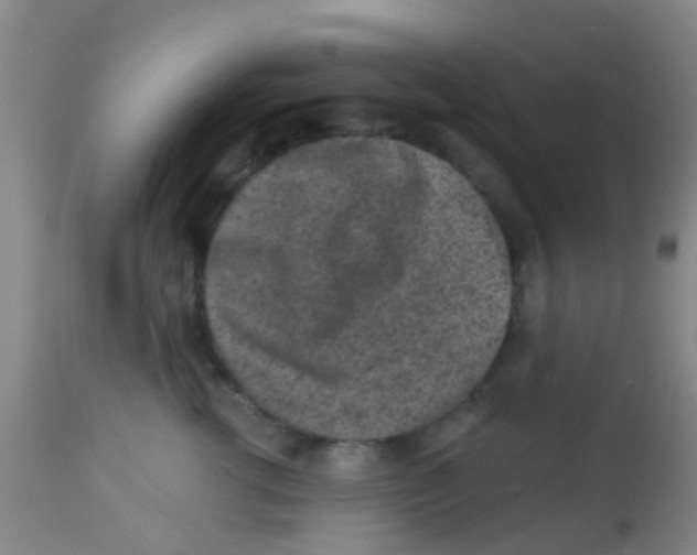 X0000113860762200910221441