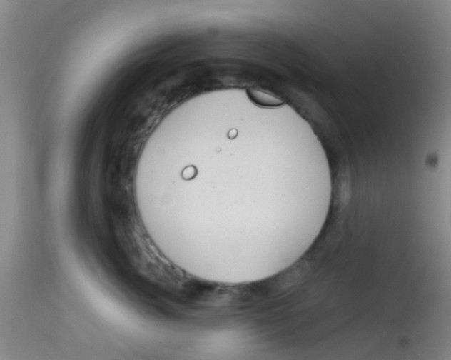X0000113860764200910221441