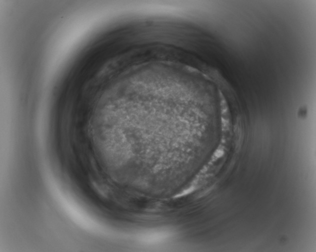 X0000113860765200910221441