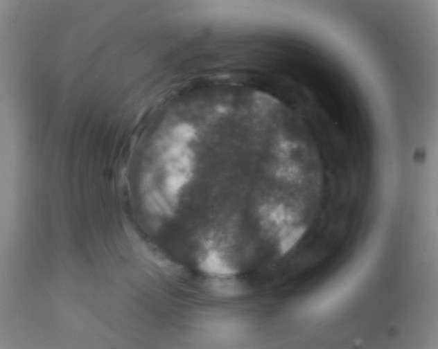 X0000113860767200910221441