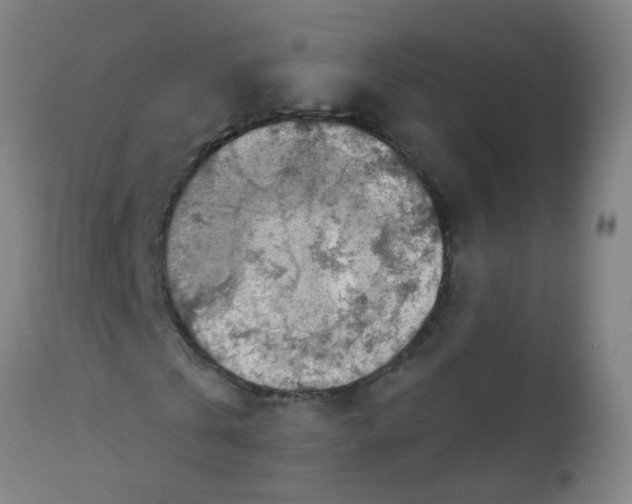 X0000113860769200910221440