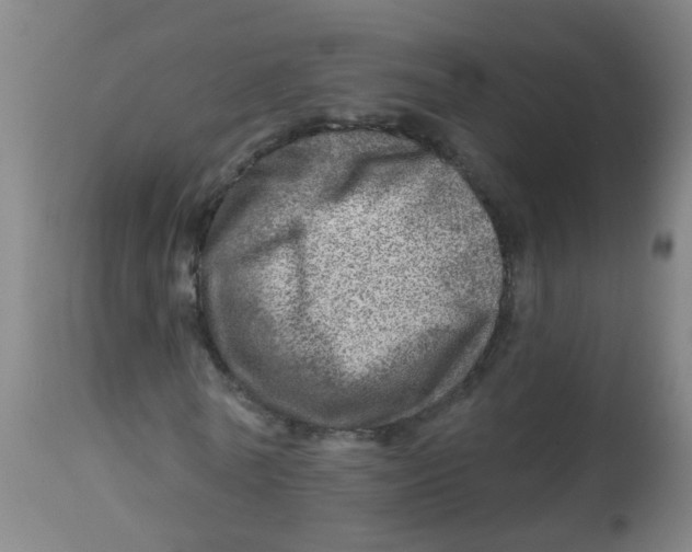 X0000113860770200910221440