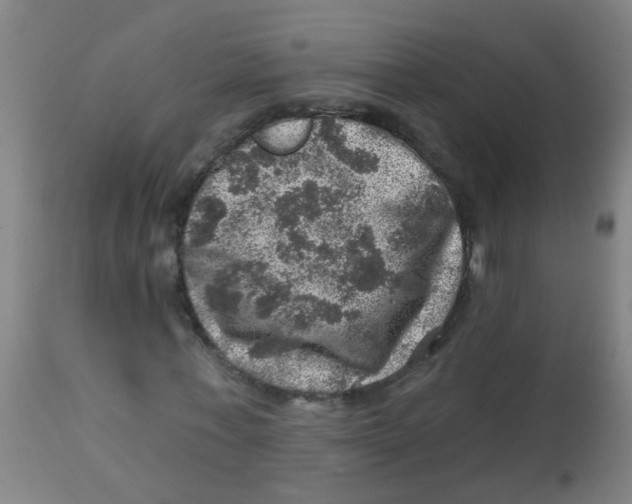 X0000113860771200910221440