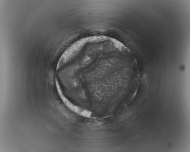 X0000113860772200910221440