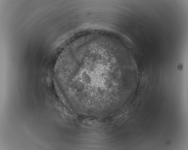 X0000113860774200910221440