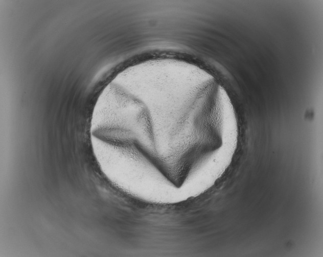 X0000113860775200910221440