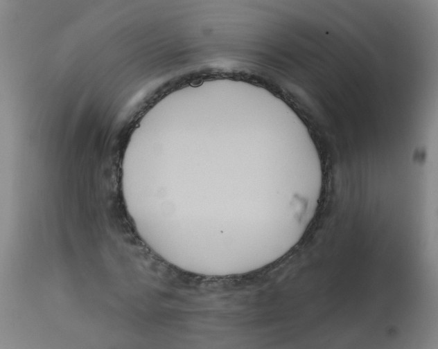 X0000113860776200910221440