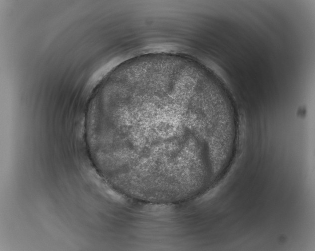 X0000113860778200910221440