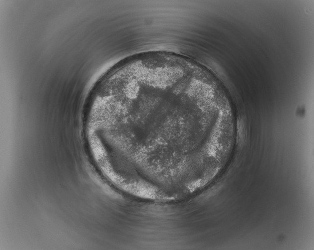 X0000113860780200910221440