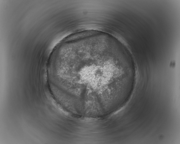 X0000113860782200910221440