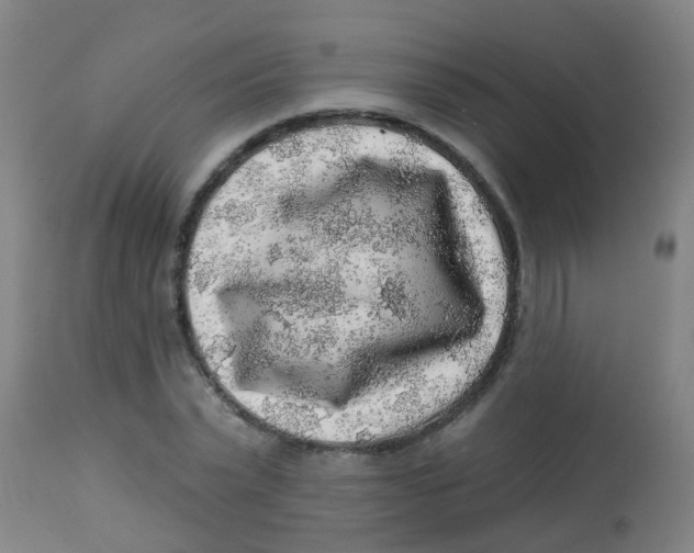 X0000113860783200910221440