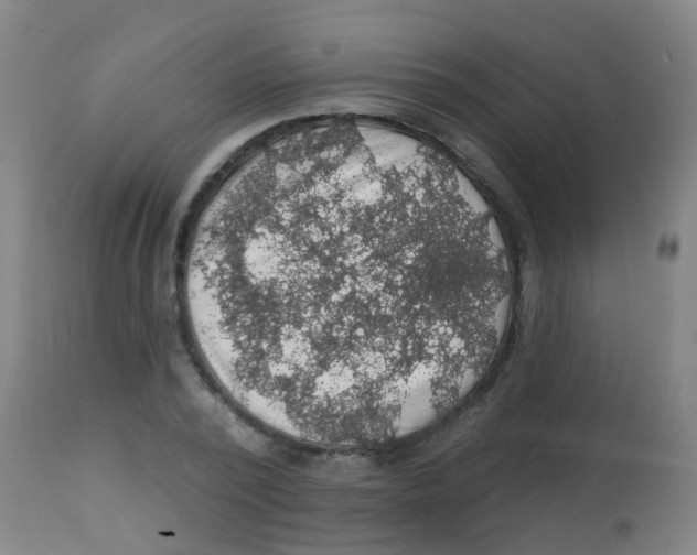 X0000113860784200910221440