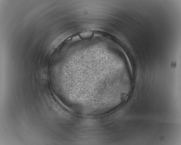X0000113860785200910221440