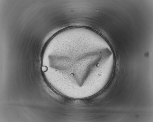 X0000113860787200910221440