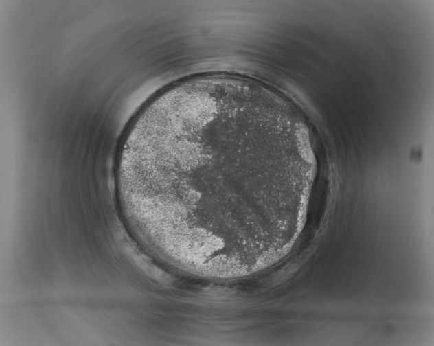 X0000113860788200910221440