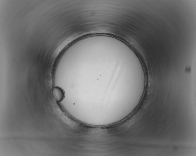 X0000113860789200910221440