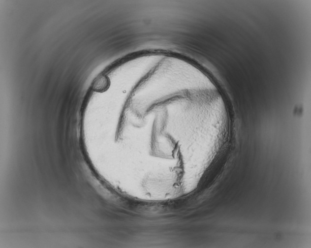 X0000113860791200910221440
