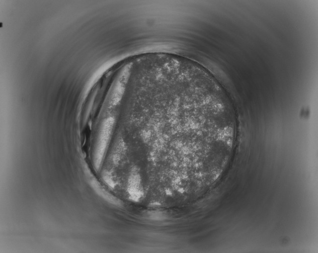 X0000113860792200910221440