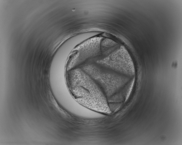 X0000113860793200910221440