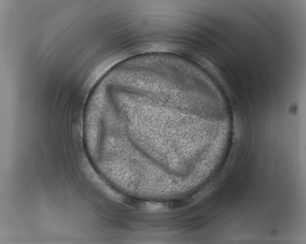 X0000113860794200910221440