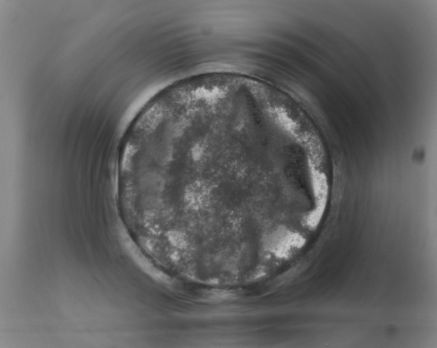 X0000113860796200910221440