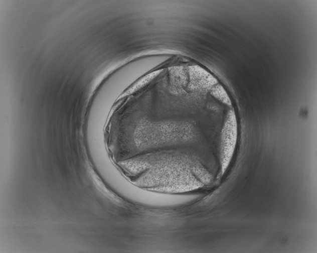 X0000113860797200910221440