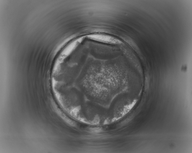 X0000113860798200910221440
