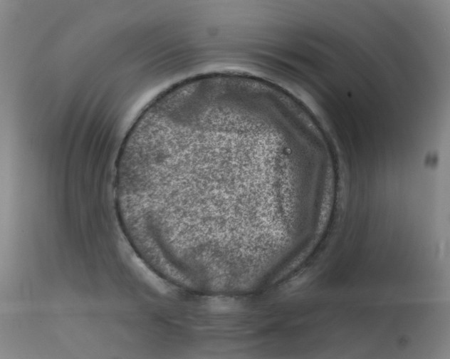 X0000113860799200910221440