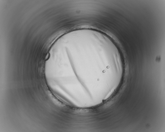 X0000113860801200910221440