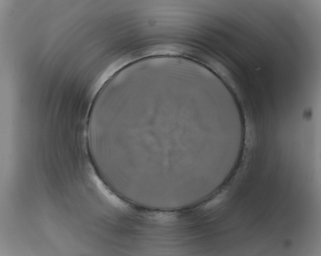 X0000113860802200910221440
