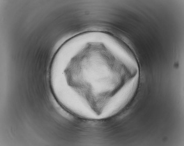 X0000113860803200910221440