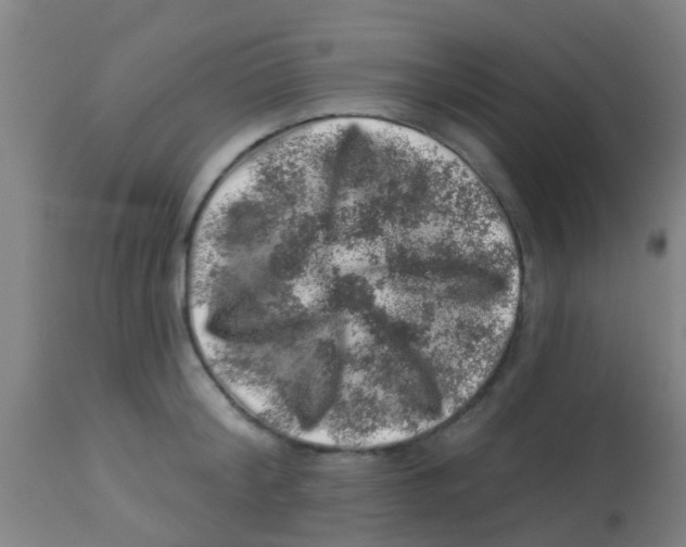 X0000113860804200910221440