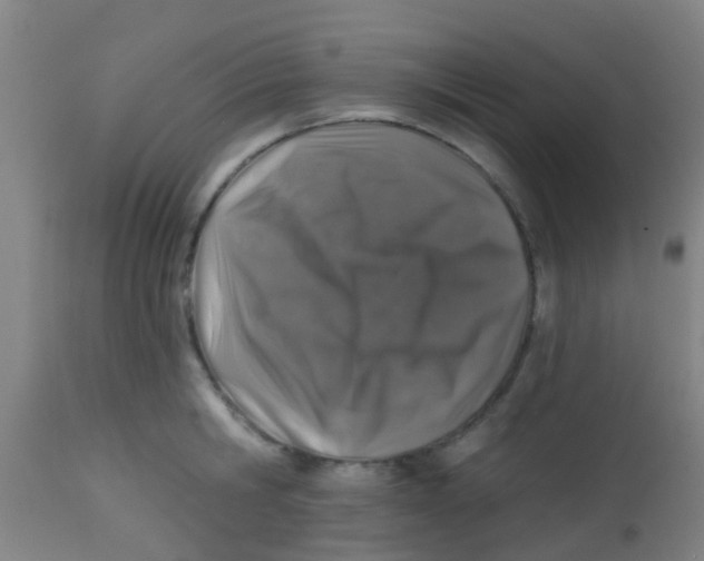 X0000113860806200910221440