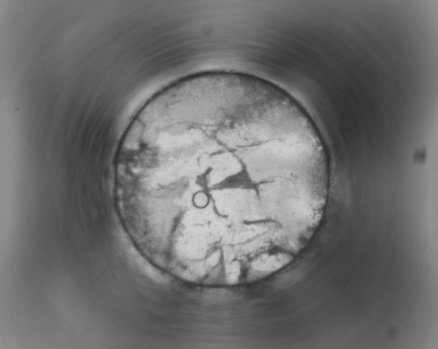 X0000113860807200910221440