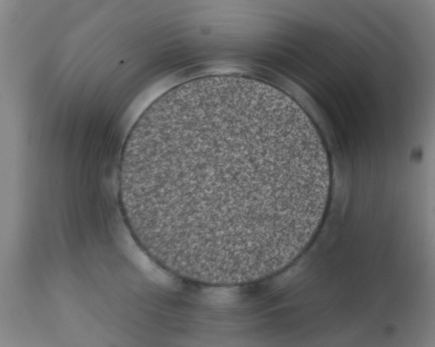 X0000113860810200910221440