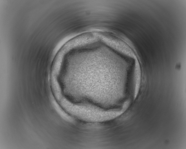 X0000113860811200910221440