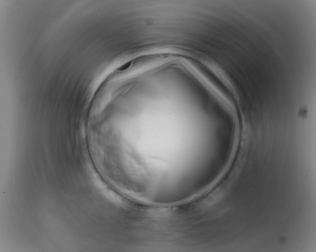 X0000113860813200910221440