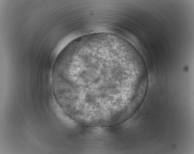 X0000113860814200910221440