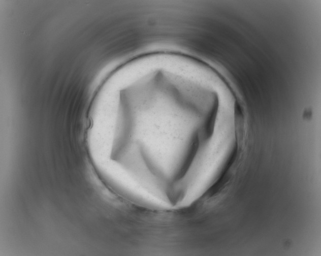 X0000113860815200910221440