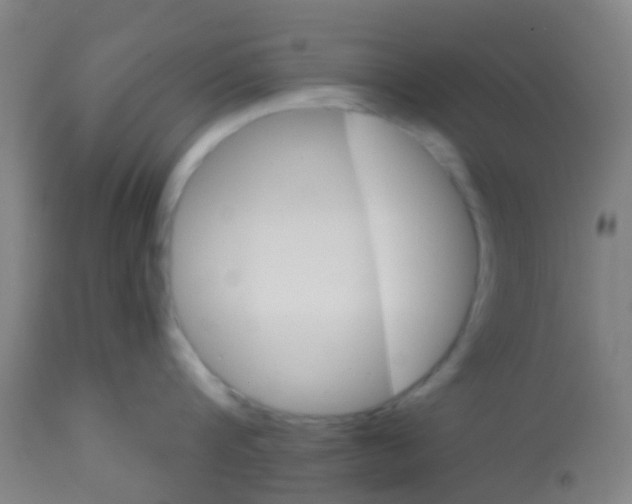 X0000113860816200910221440