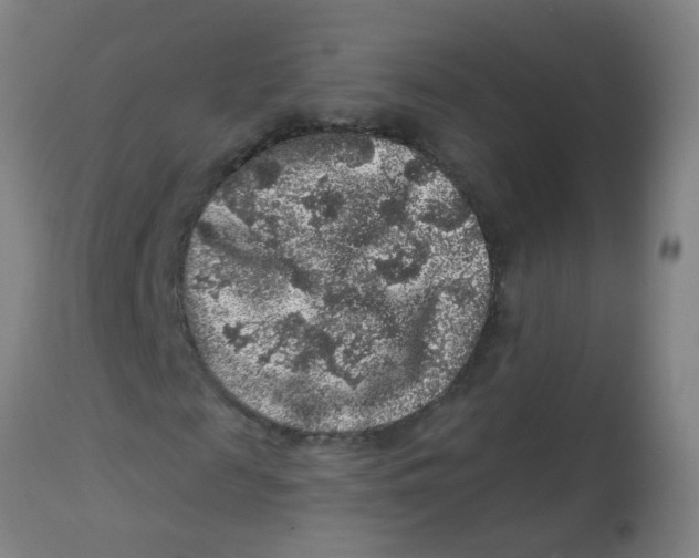 X0000113860817200910221439