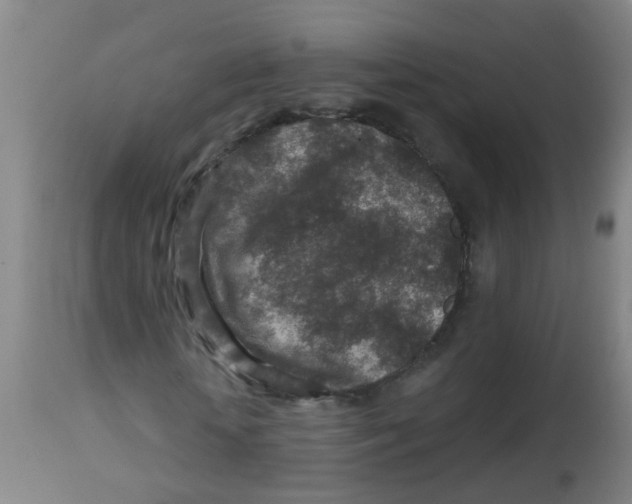 X0000113860818200910221439