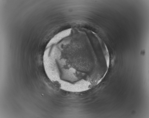 X0000113860819200910221439