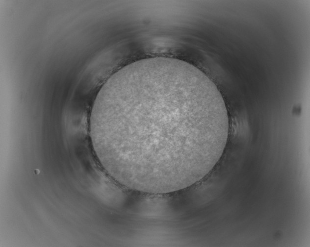 X0000113860820200910221439
