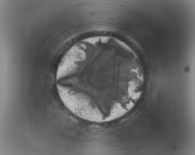 X0000113860821200910221439